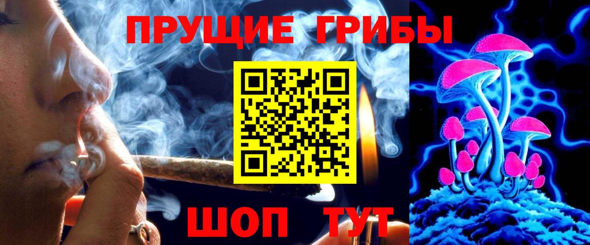 Псилоцибиновые грибы Psilocybe  Псилоцибиновые грибы ЛСД  Татарск  Вход с VPN 